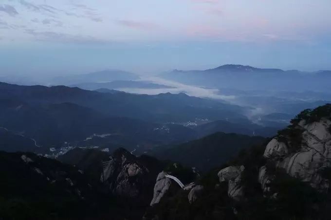 适合带着去旅行的宠物,宠物旅行攻略如何带宠物出门旅游