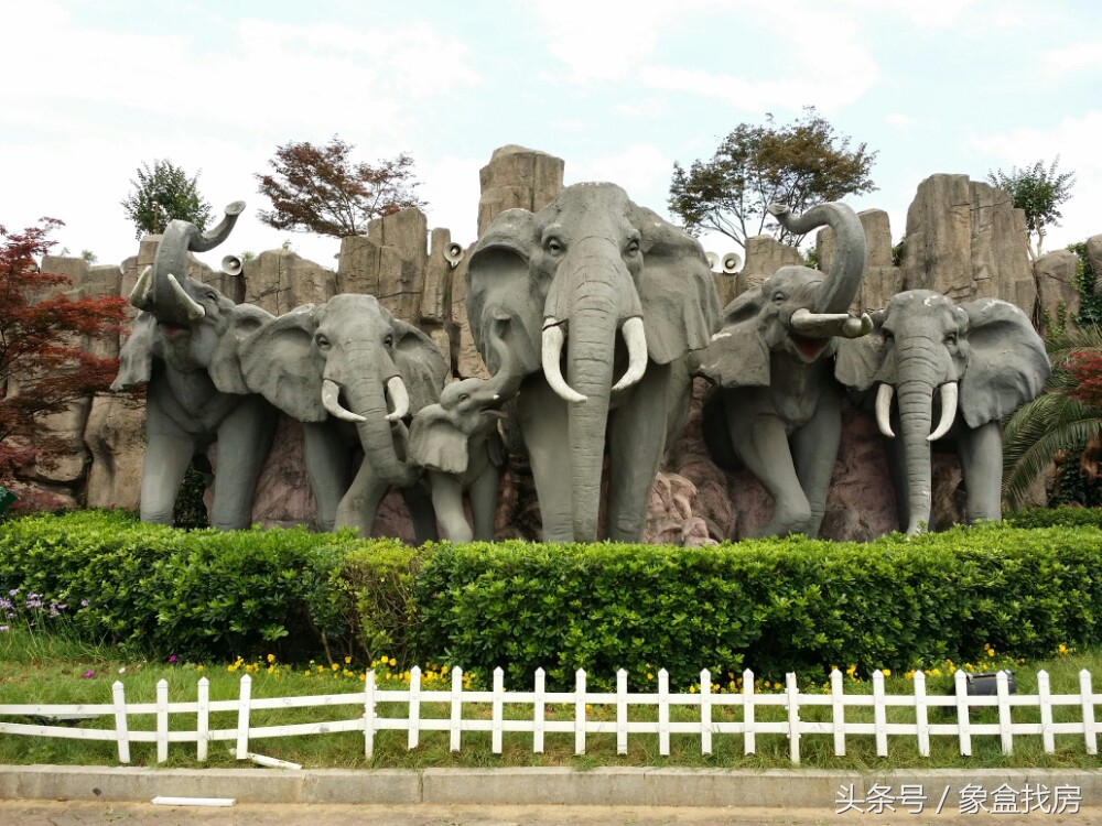 怡海星城服务,怡海星城一号楼