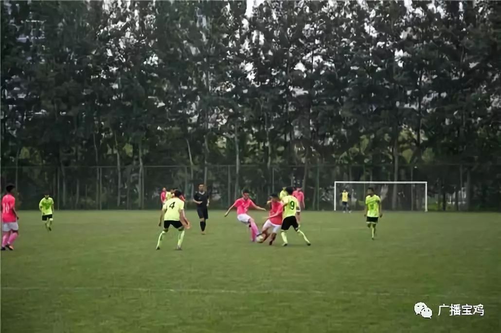 宝鸡十强学校,宝鸡前十优秀小学