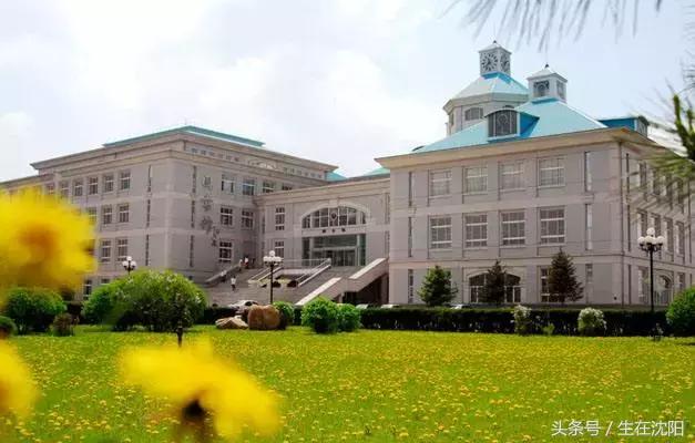 沈阳三十二所高校都有什么,沈阳高校一览表