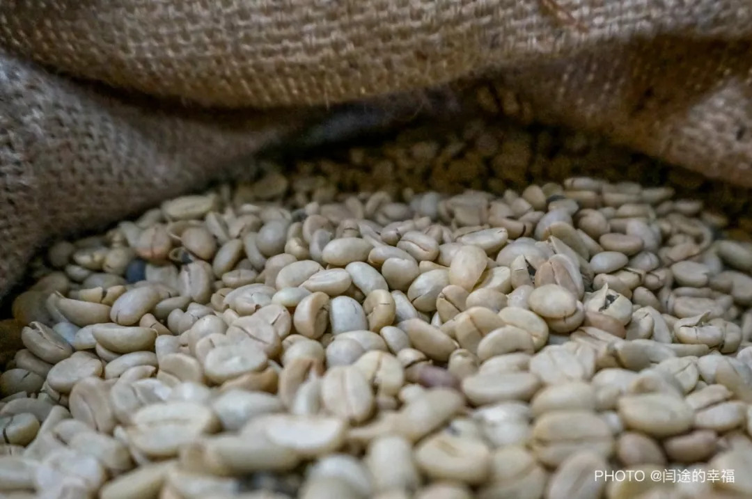 了解咖啡从什么开始,哥斯达黎加咖啡豆属于哪个洲