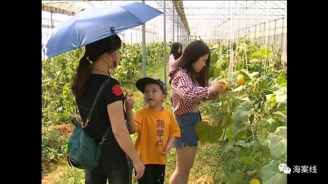 南宁风景最好哪个区,南宁一座风景如画的城市
