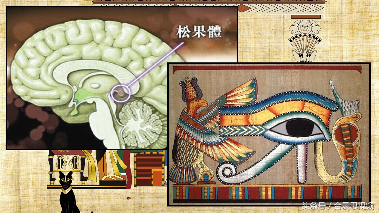 最早的人类真有三只眼吗,人类真有第三只眼吗