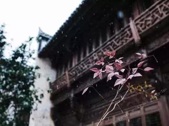 住进婺源秋色里的10家特色民宿,婺源风景最美的民宿