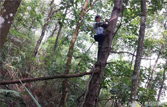 农村十大致富项目投资,农村最快的致富项目