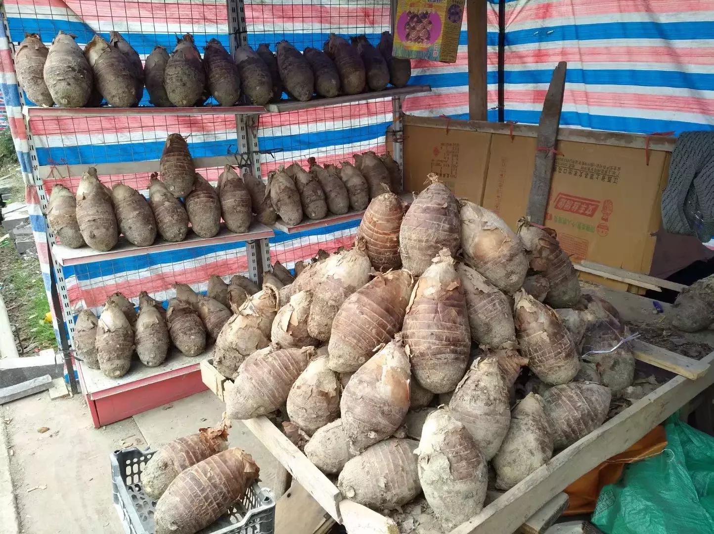 一路向南8,一路向南图