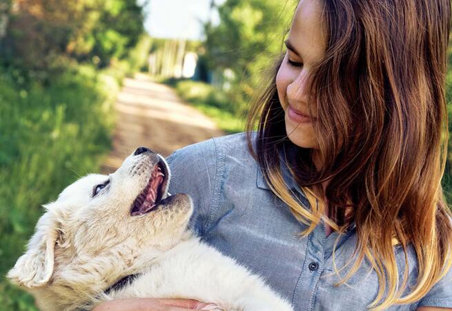 你的大软棉花糖上线了！巨型比利牛斯犬了解一下