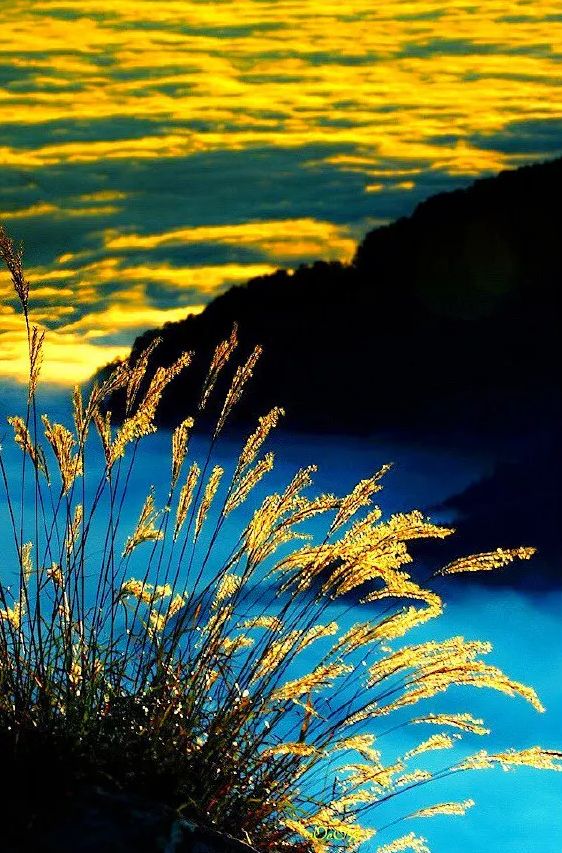 秋风起芦花飞起满天霜,诗词鉴赏秋风起芦花飞