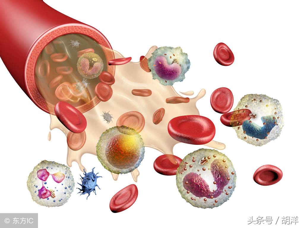 靶向药也治不好癌症吗,靶向药治疗肿瘤晚期成功率有多大
