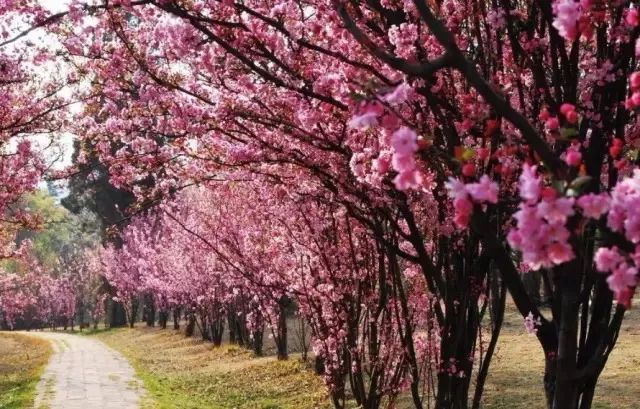 上海地铁3号线沿线美食,上海美食小吃一条街必打卡