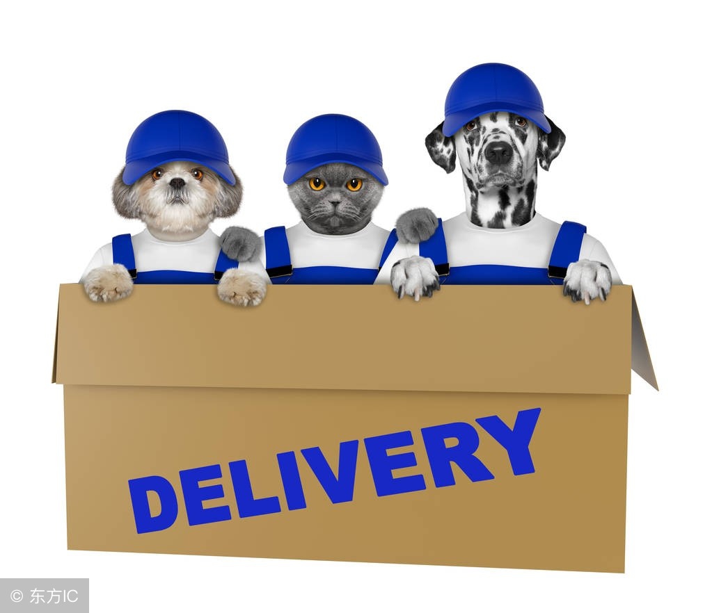 我想寄快递用英语怎么说,网上买快递英文怎么说