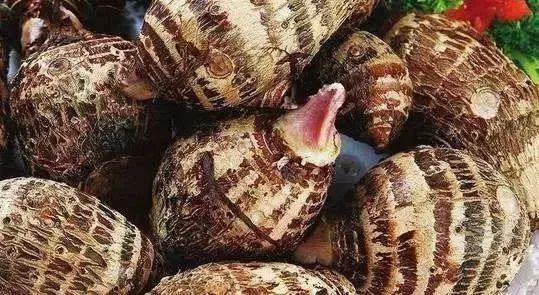 南沿江高铁南京段何时启动建设,沿江高铁南京到上海多少小时