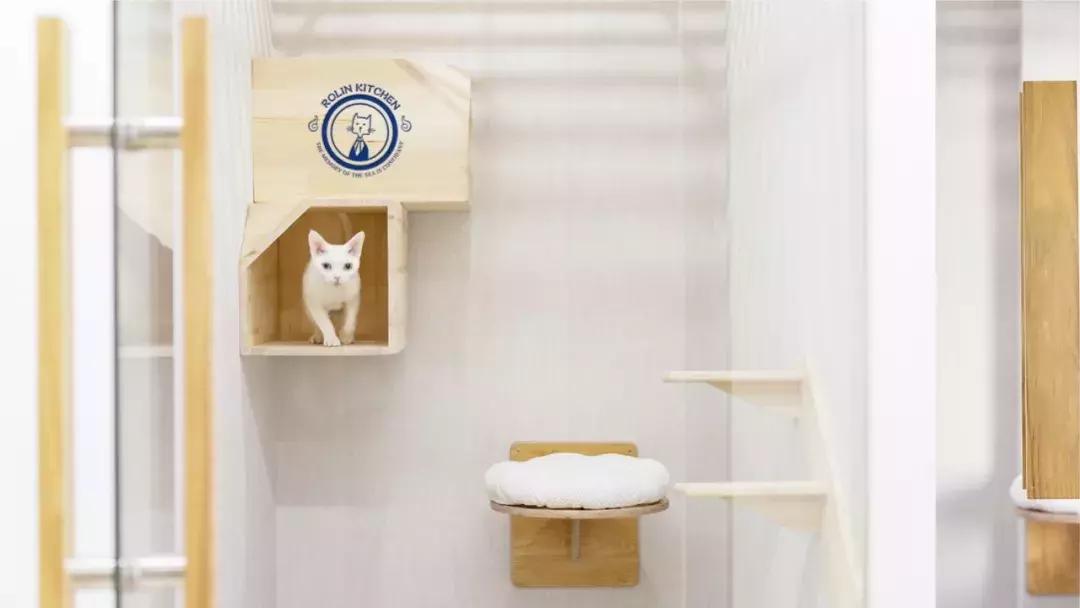 鑻ラ偦灏忓帹鏂颁匠涓藉簵,鑻ラ偦灏忓帹