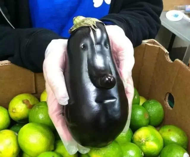 好看的都被你们吃掉了,让这些长得丑的怎么办?