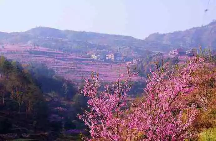 缙云山黛湖仙境,缙云峰景