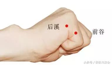 道家论述奇经八脉的书,奇经八脉与道家修炼