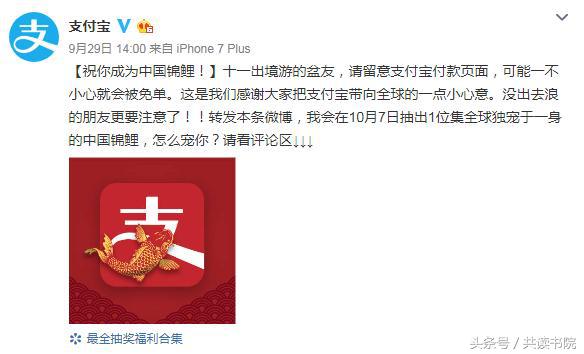 300w的锦鲤,300w锦鲤