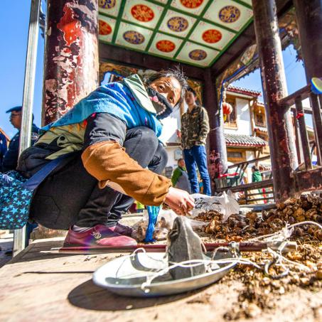 四川松潘古城雪后犹如童话世界,四姑娘山松潘古城