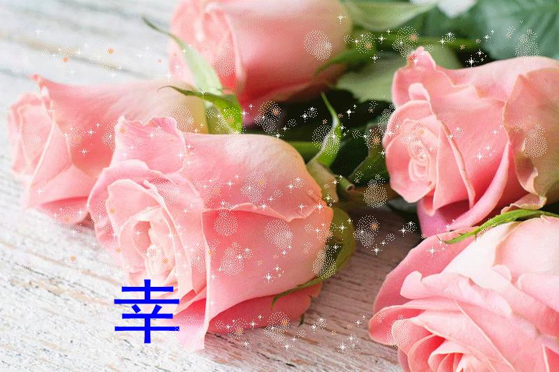 花开久久早安问候语,早安好运久久的句子