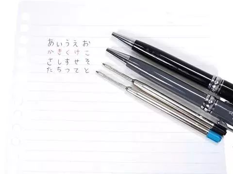 11月日本杂志赠品,继coach笔之后,这支笔又被代购盯上了……