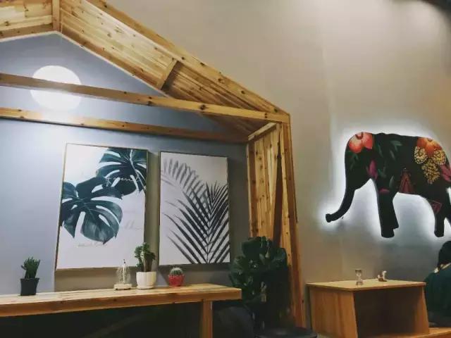 素匠泰茶为何能火爆市场,真正的素匠泰茶