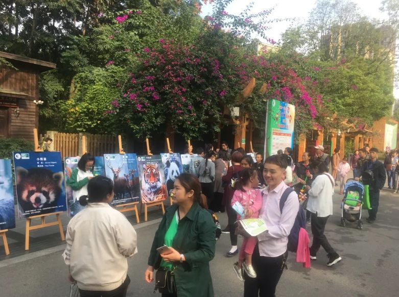 成华头条｜耍、买、吃……这份黄金周账单已为你呈上！