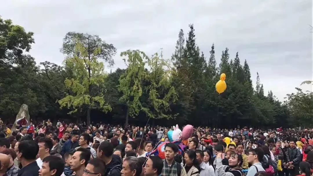 成华头条｜耍、买、吃……这份黄金周账单已为你呈上！