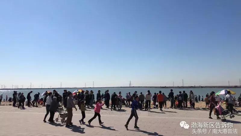 全域旅游河北,沧州渤海新区旅游免费海边