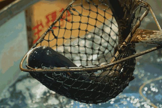 信阳市南湾湖景区好玩吗,信阳南湾湖是5a景区吗