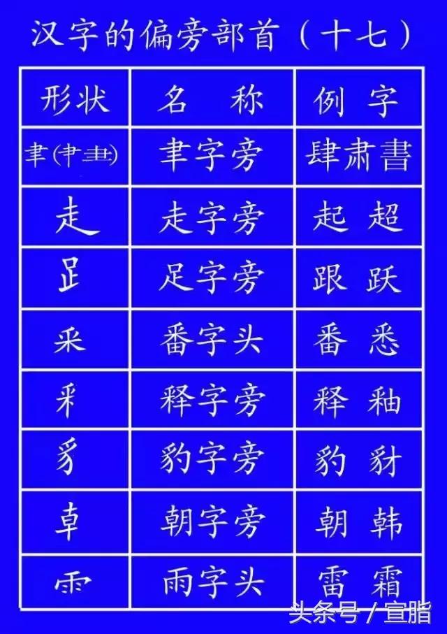 权威专家教你正确的汉字笔顺技巧,专家揭秘汉字正确的笔顺技巧