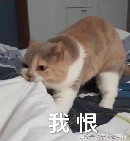 95开头的推销电话,最近为啥那么多的推销电话