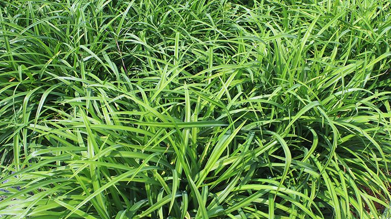 酵素日本爆款第一名,平价又便宜好用的酵素