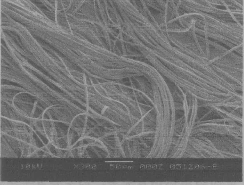 海岛纤维,海岛纤维和橘瓣纤维区别