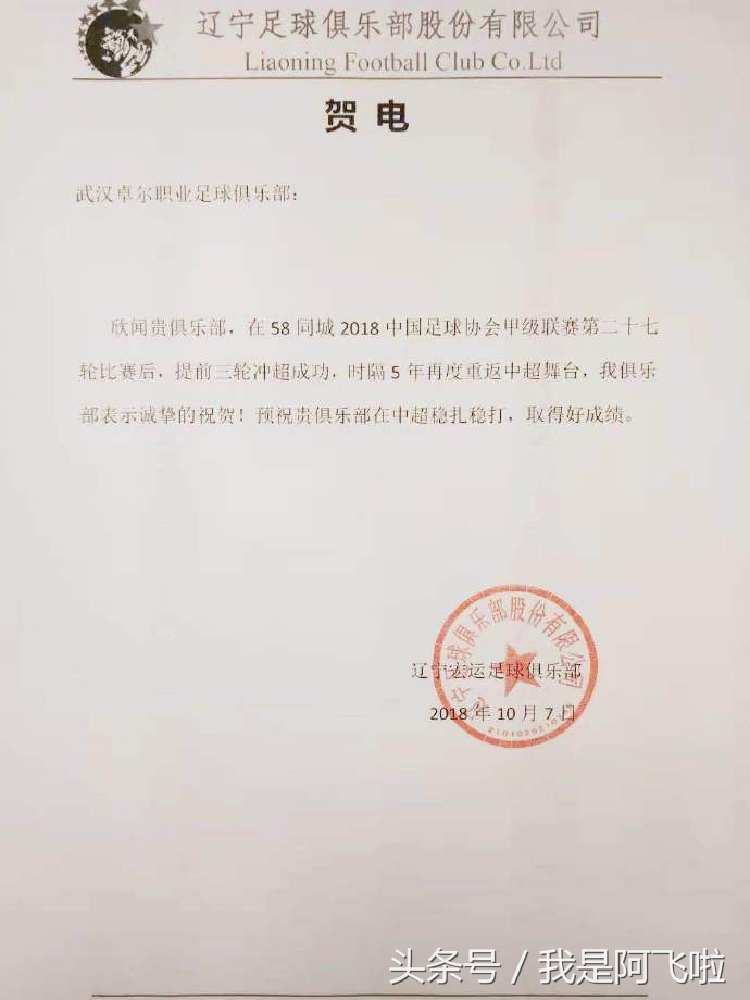 武汉卓尔冲超中超,武汉卓尔成功冲超完整赛后视频