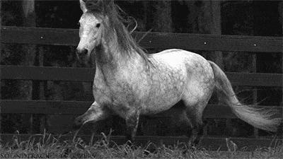 人类在演化中为什么会褪去体毛,人类的体毛怎么进化没了