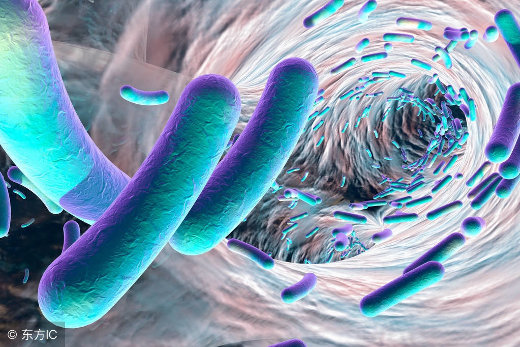 三大原因导致患上女阴假性湿疣，做好生殖健康卫生可预防