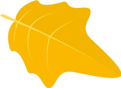 咵咵社区书记丨南湖名都社区张天祥：这位“小家长”很懂居民的心