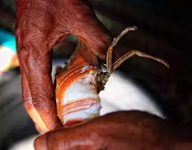 现在缅甸可以落地签吗,缅甸落地签柬埔寨