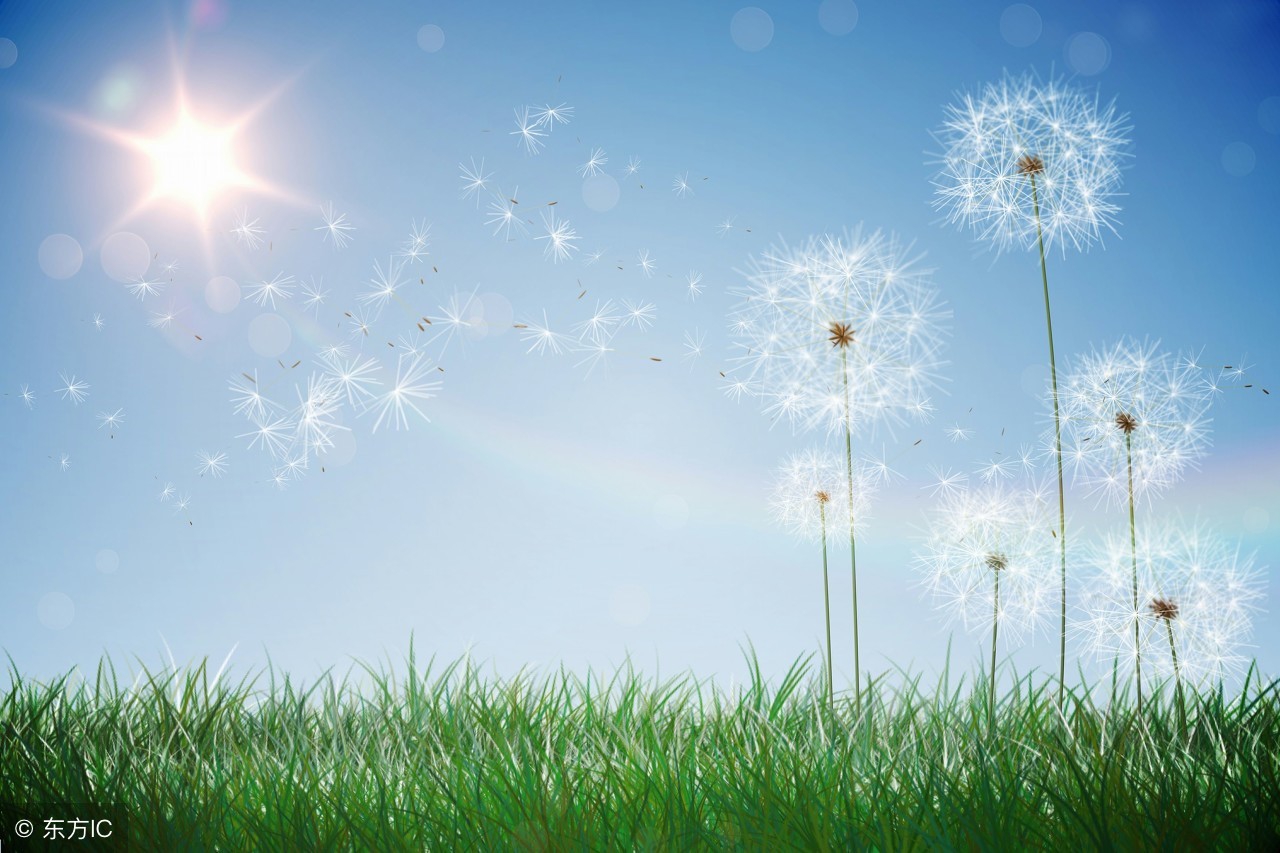 226期福彩3d今天的全图,福彩3d267期参考号码是多少