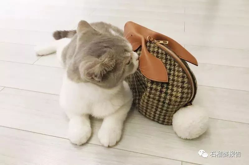 冬季推荐包包大牌,买大牌包包要买最新款吗