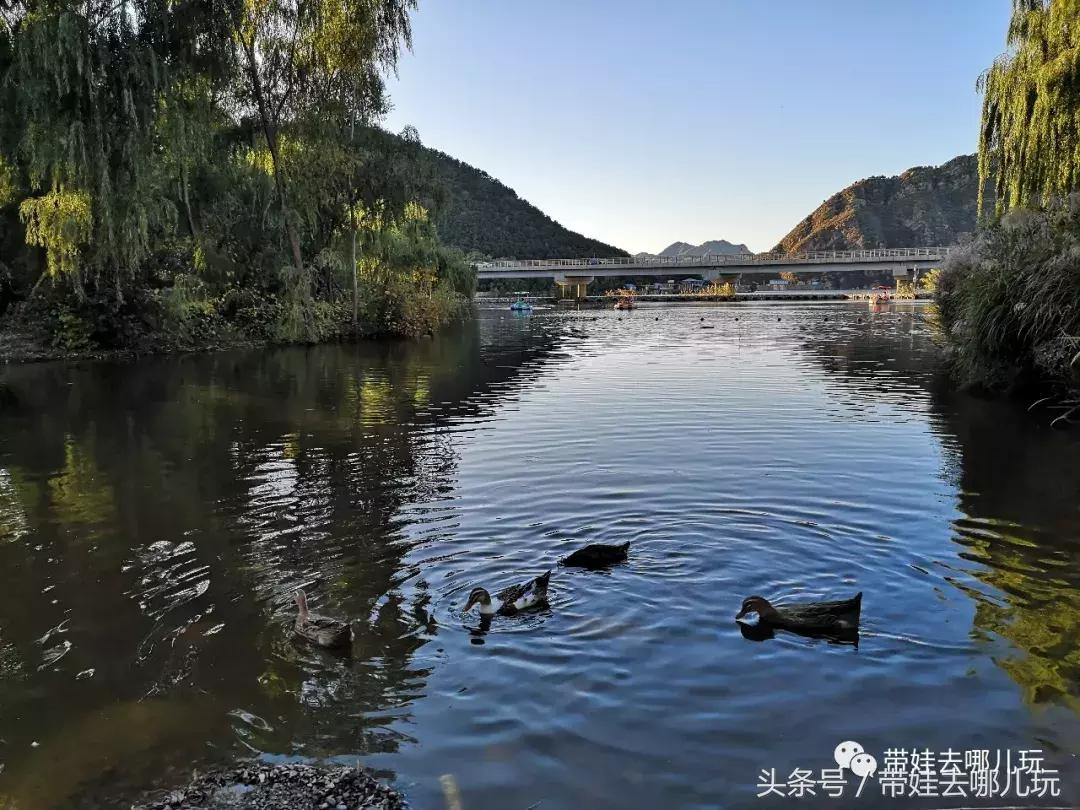 京郊十大亲子酒店,平谷亲子酒店值得去吗