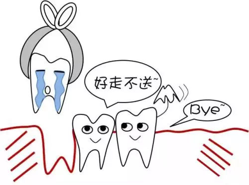 智齿作为人体最大漏洞之一，该如何对待