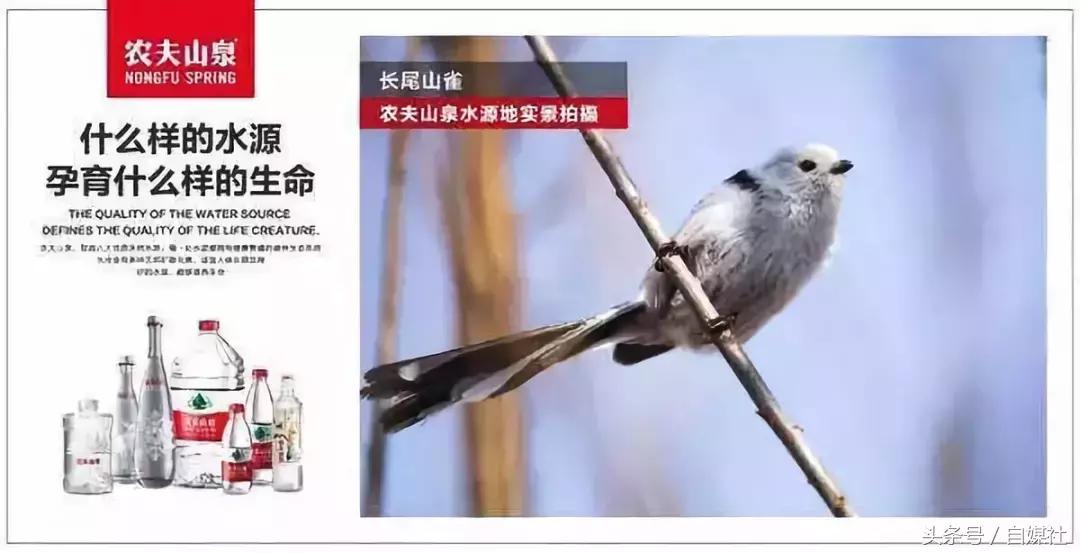 品牌管理，就是管理消费者认知