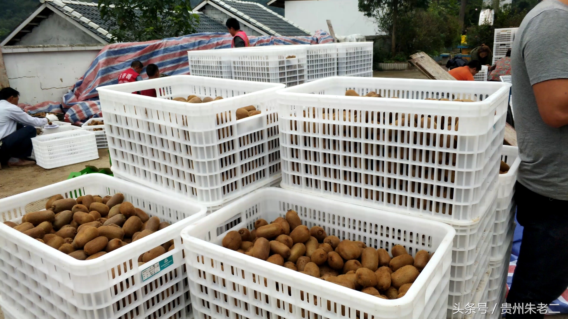 助农增产增收增效益,助农增收新型产业