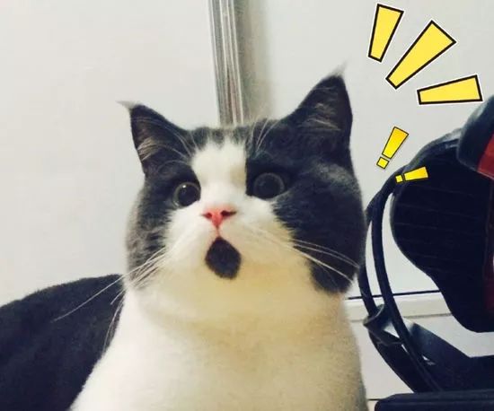 女子5400元代购两双鞋,女子淘宝上买到假的鞋