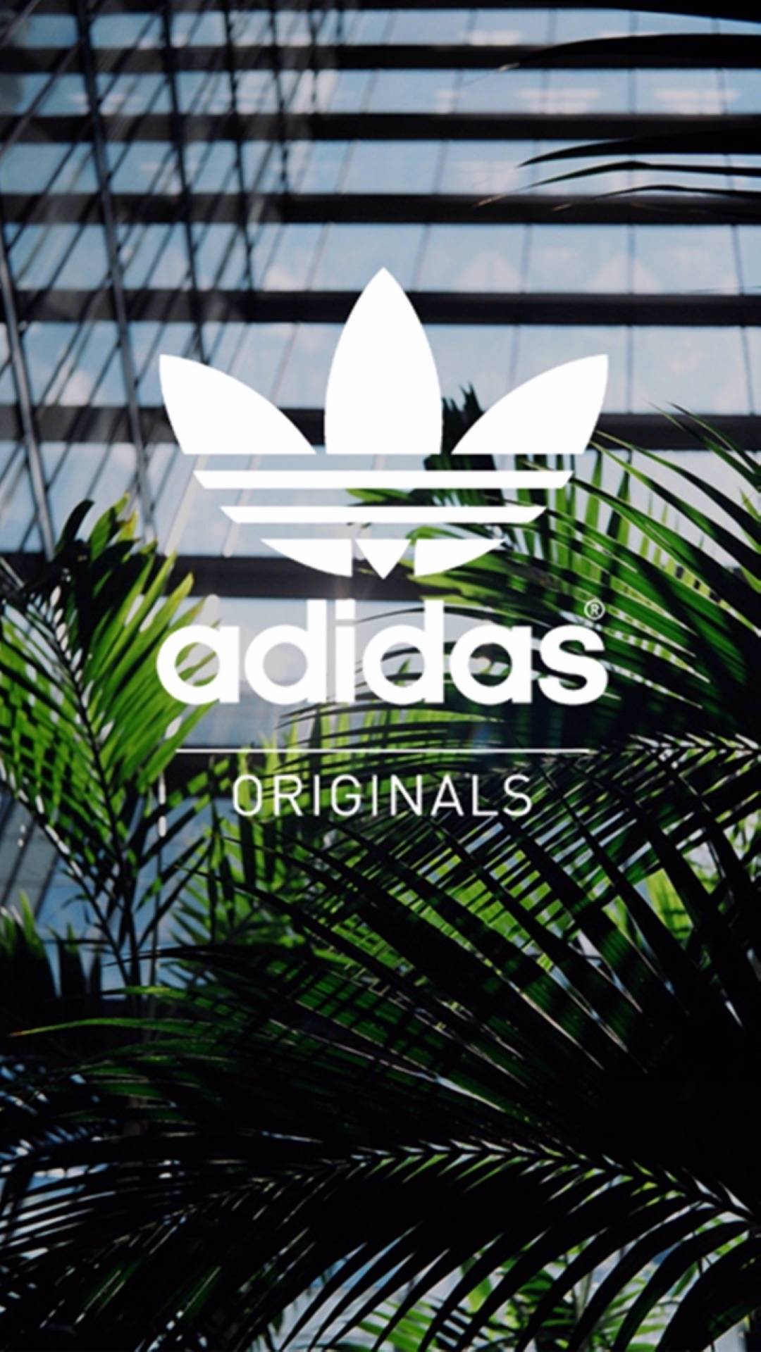 adidas电脑壁纸4k高清无水印,adidas图片壁纸