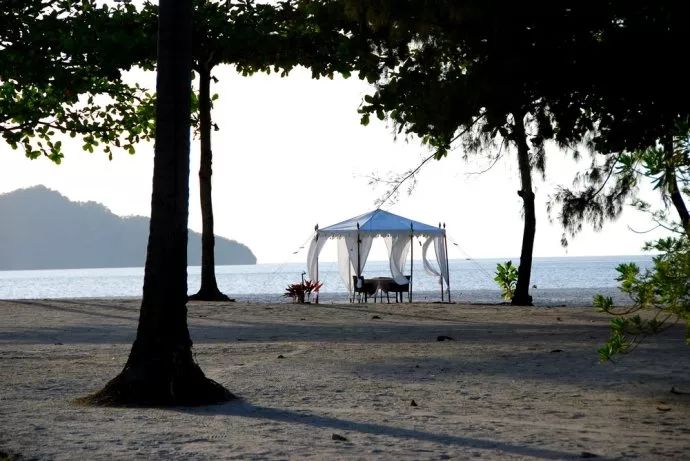 李茶的姑妈海景大别墅,李茶的姑妈在马来西亚