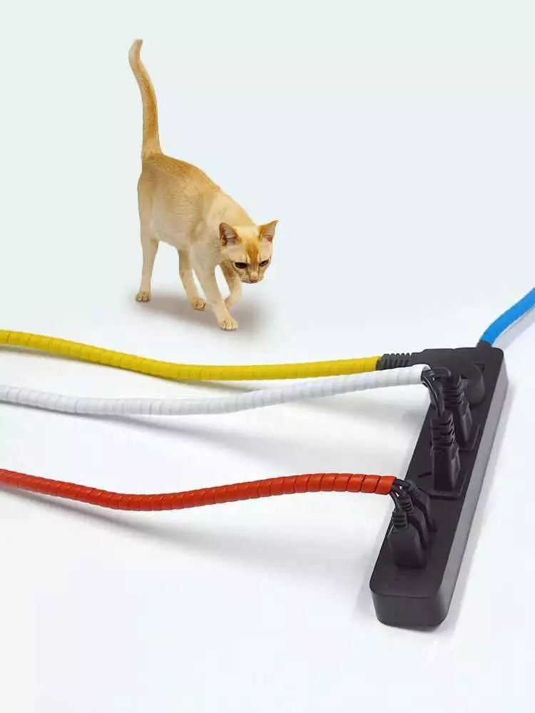 哈哈哈哈哈哈哈哈这届猫奴的智商有点高!