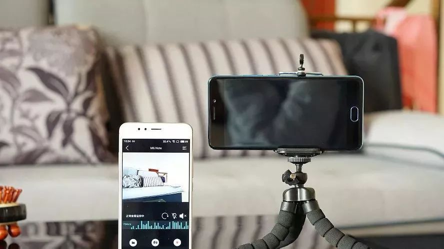 哈哈哈哈哈哈哈哈这届猫奴的智商有点高！