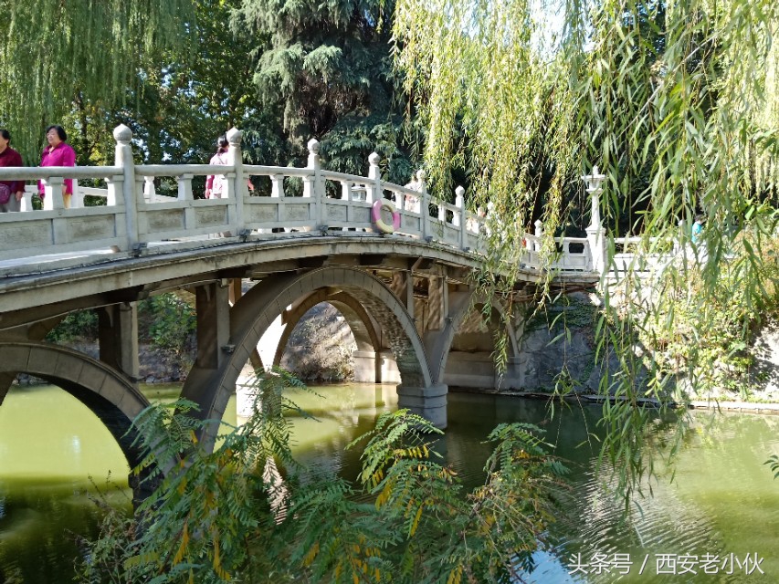 西安兴庆公园合唱团直播,西安兴庆公园歌手